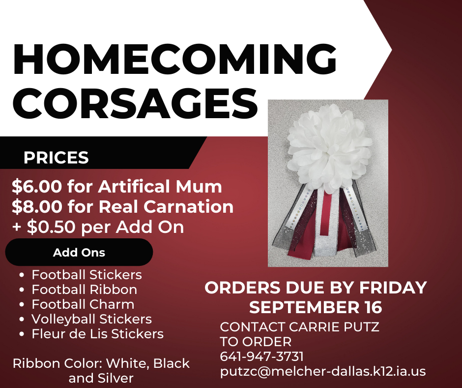 Live Feed MelcherDallas CSD